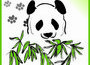 Pandamania