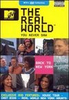 The Real World You Never Saw: Back to New York