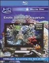 Exotic Saltwater Aquarium