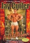 Jay Cutler: A Cut Above