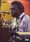 Ohne Filter - Musik Pur: Joe Louis Walker in Concert