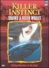 Killer Instinct: Sharks and Killer Whales