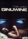 Ginuwine: The Videos