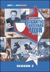 Tony Hawk's Gigantic Skatepark Tour: Summer 2002
