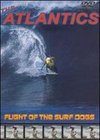 Flight of the Surf Dogs