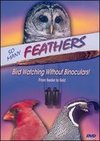 So Many Feathers: Bird Watching Without Binoculars
