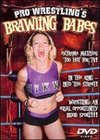 Pro Wrestling's Brawling Babes