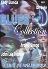 Blues Collection: Live at Wilebski's