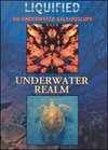 Liquified - an Underwater Kaleidoscope: Underwater Realm