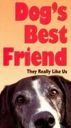 Dog's Best Friend: They Really Like Us