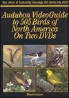 Audubon Society's Videoguide to Birds of North America, Vol. 3