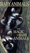 Baby Animals: The Magic of Baby Animals