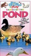 Baby Animals at Play: Babies of the Pond