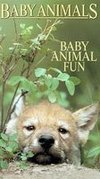 Baby Animals: Baby Animals Fun