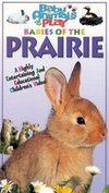 Baby Animals at Play: Babies of the Prairie