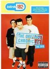 Blink 182: The Urethra Chronicles