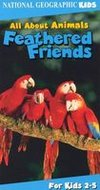 All About Animals: Feathered Friends