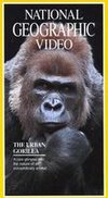 National Geographic: Urban Gorilla
