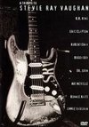 A Tribute To Stevie Ray Vaughan