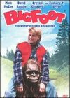 Bigfoot: The Unforgettable Encounter