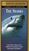 National Geographic: The Sharks