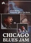 Chicago Blues Jam: Lonnie Brooks/Studebaker John