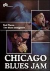 Chicago Blues Jam: Rod Piazza/The Blues Instigator