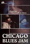 Chicago Blues Jam: George Baze - Tribute to Muddy Waters