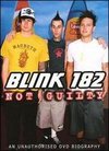 Blink 182: Not Guilty - Unauthorized Biography