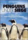 Penguins Under Siege