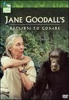 Jane Goodall's Return to Gombe