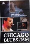 Chicago Blues Jam: James Harman/Howard and the White Boys