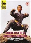 Snake Fist of the Buddhist Dragon