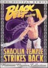 Shaolin Temple Strikes Back