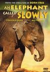An Elephant Called Slowly