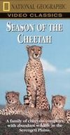 National Geographic: Season of the Cheetah
