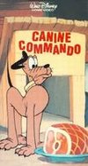 Canine Commando