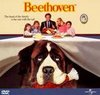 Beethoven - Un caine putin prea mare