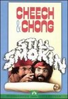 Cheech & Chong: Still Smokin'