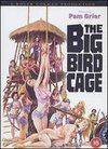 The Big Bird Cage