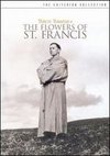 The Flowers of St. Francis