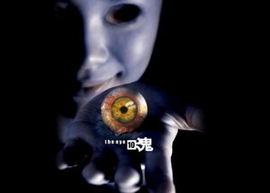 FestAsia 2009: The Eye - Infinity