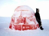 Vizionarul, un film despre viata in lumea arctica